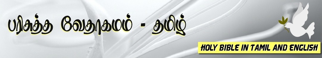 Header